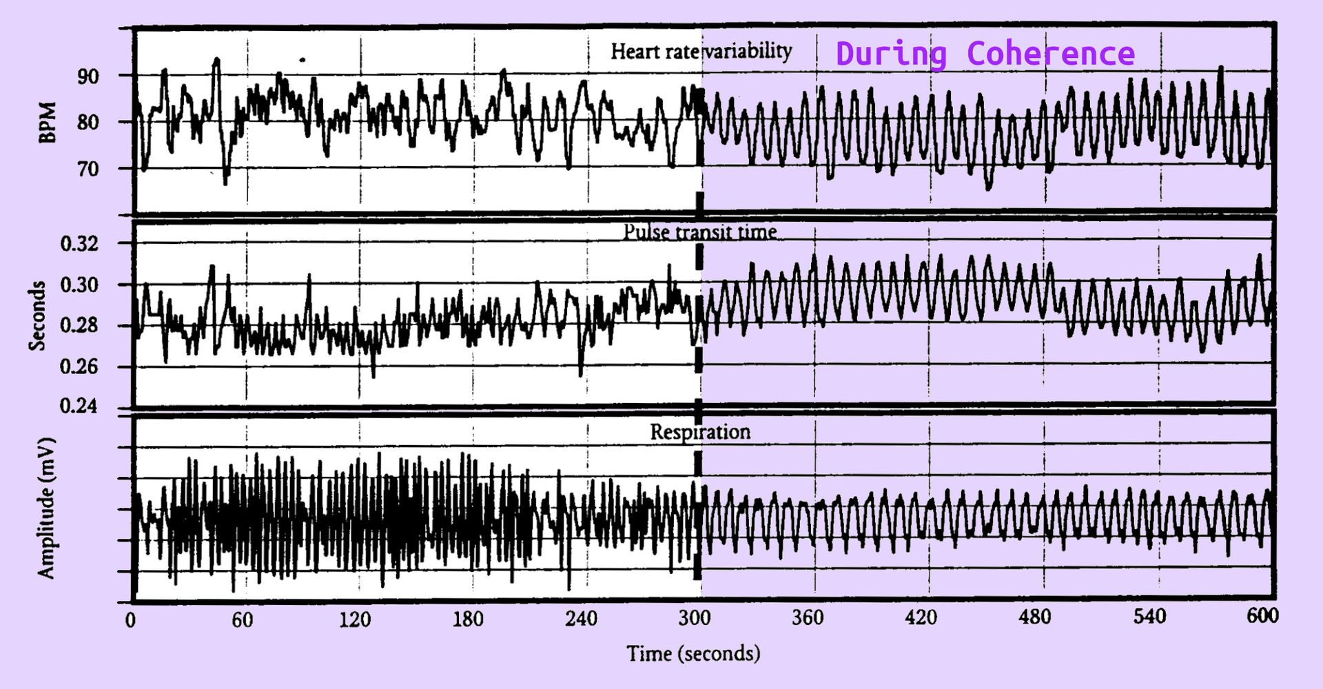 cardiac_coherence_body_effects_hrv